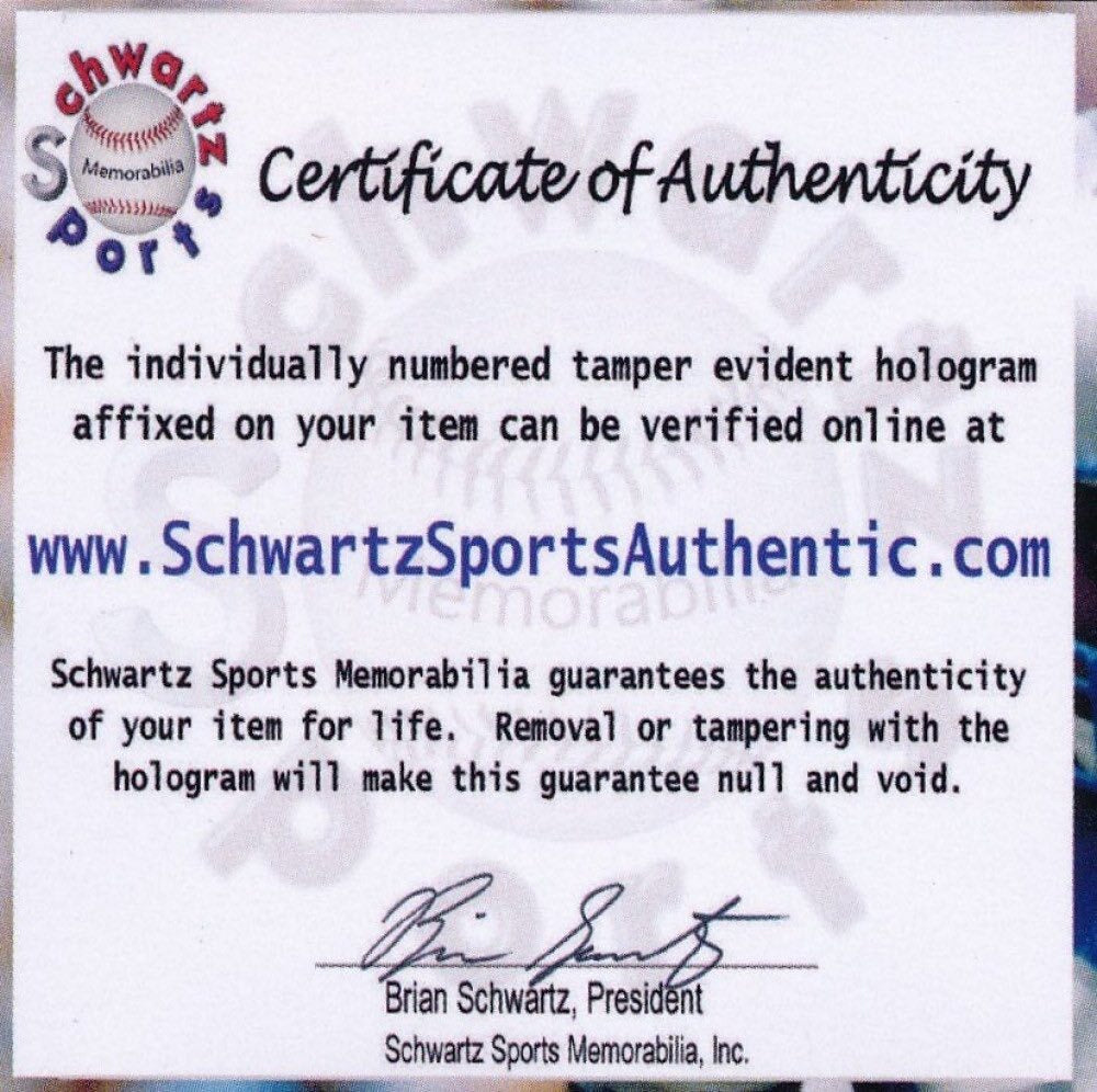 Brett Hull Signed Red Wings Hockey Stick - Schwartz Certified